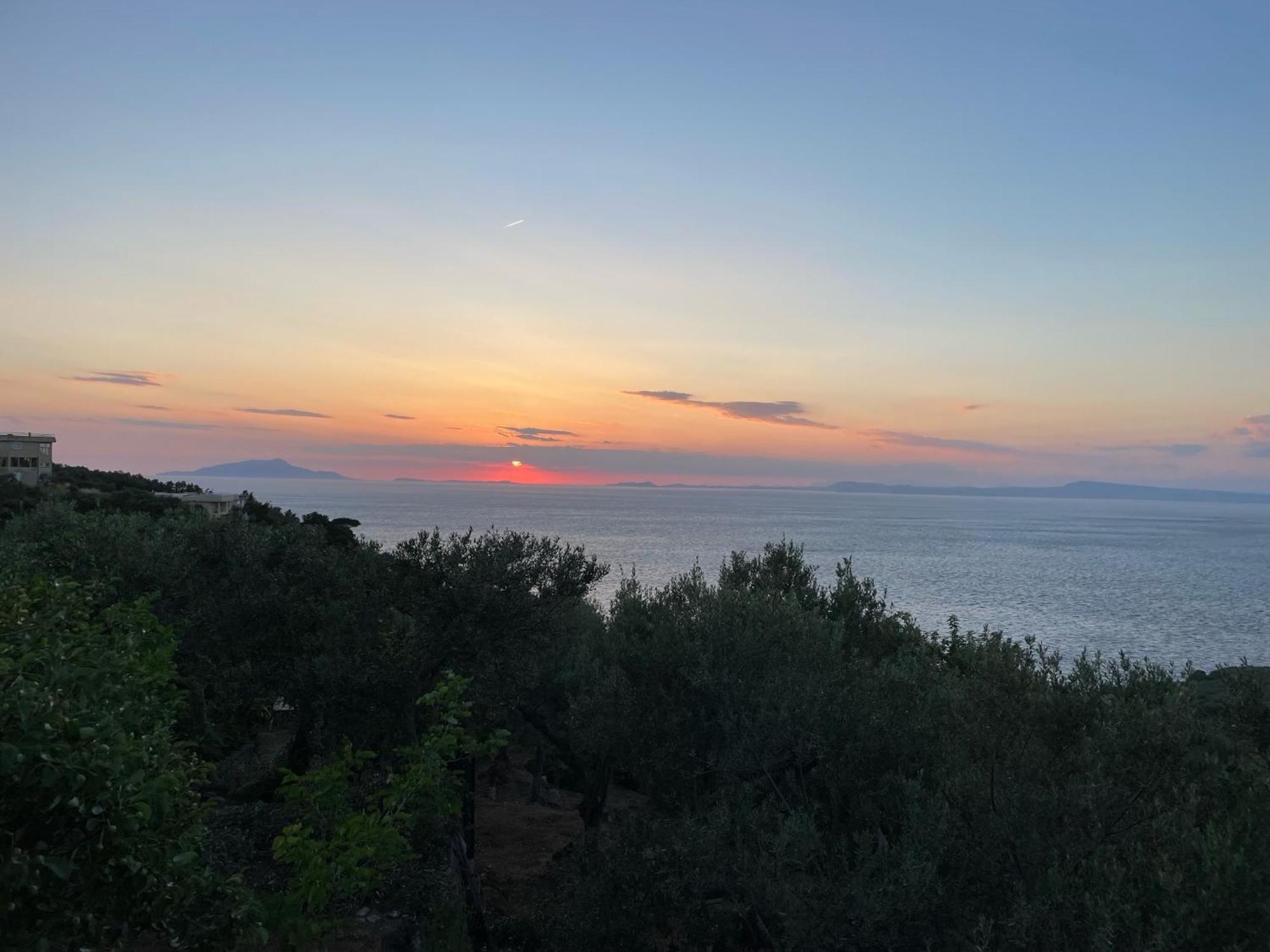 Un Paradiso A Sorrento Con Piscina Massa Lubrense Buitenkant foto