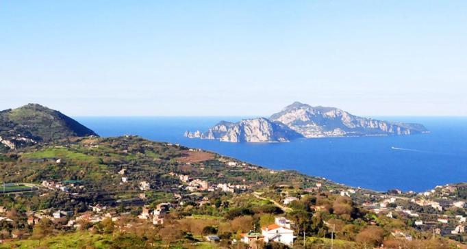 Un Paradiso A Sorrento Con Piscina Massa Lubrense Buitenkant foto